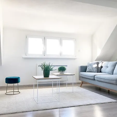 Apartment Cosy A 10min A Pieds Du Centre-ville Colmar